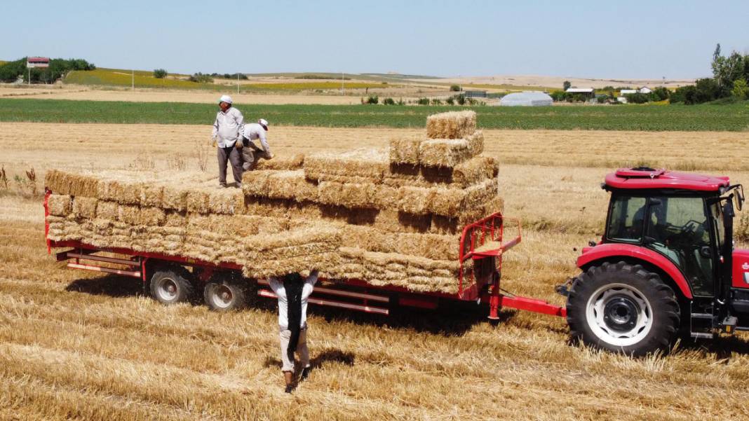 Kavurucu sıcakta 'balya' mesaisi 9
